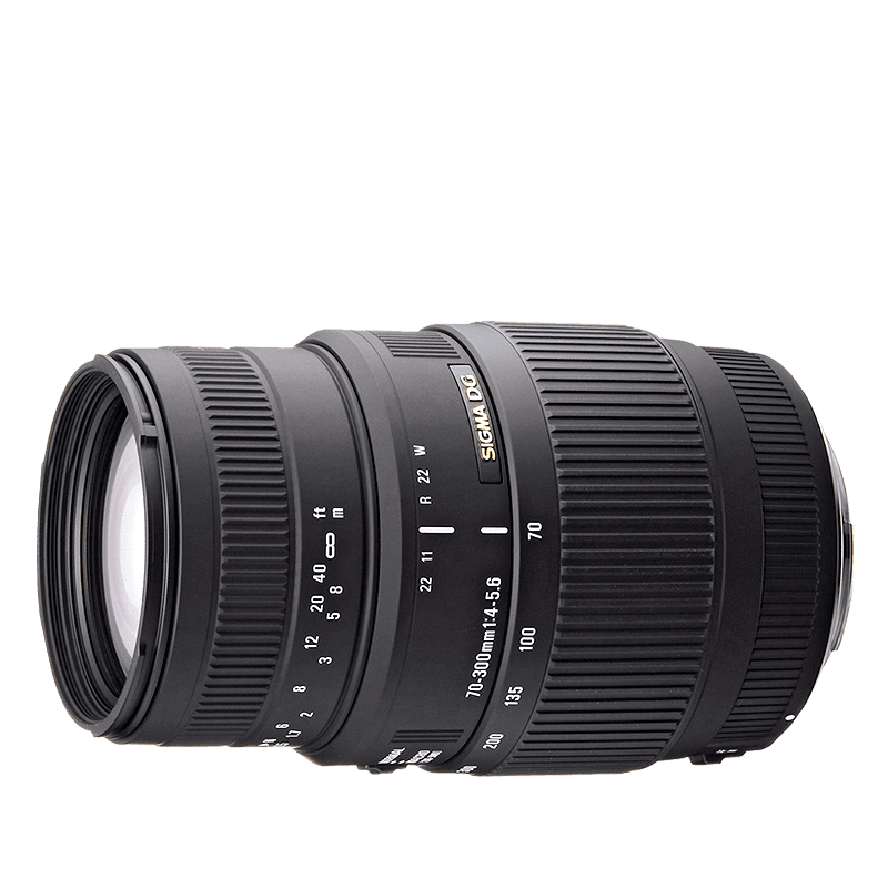 Sigma 70 300mm f4 5.6 dg macro