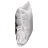 Fotovankus