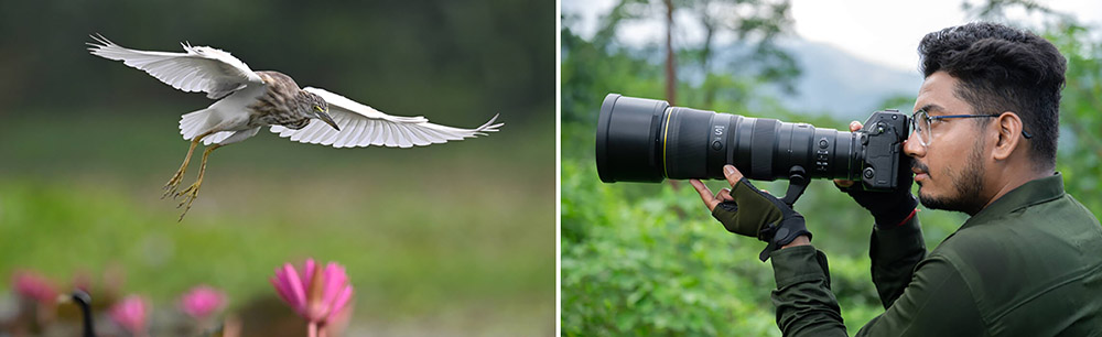 Nikkor Z 600mm e fotografo